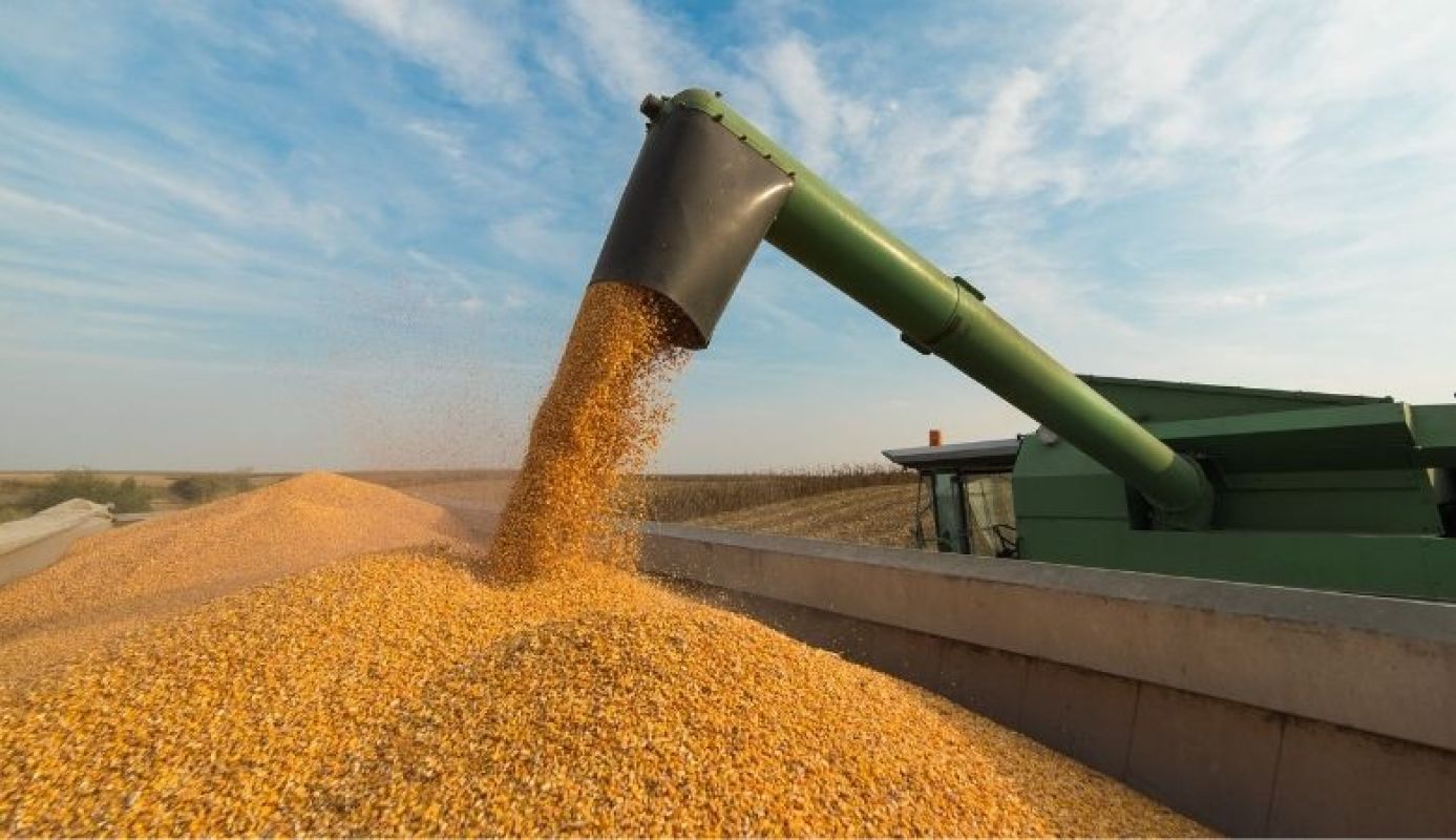 Colheita de soja no Rio Grande do Sul apresenta forte variação de produtividade, com destaque para perdas em várias regiões