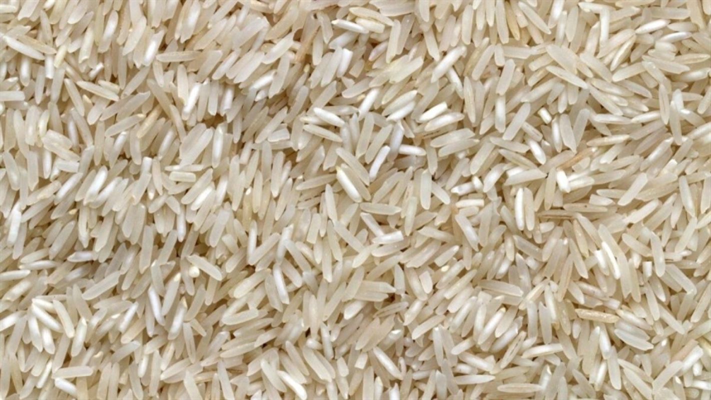 Semeadura de arroz no Rio Grande do Sul atinge 95% da área prevista