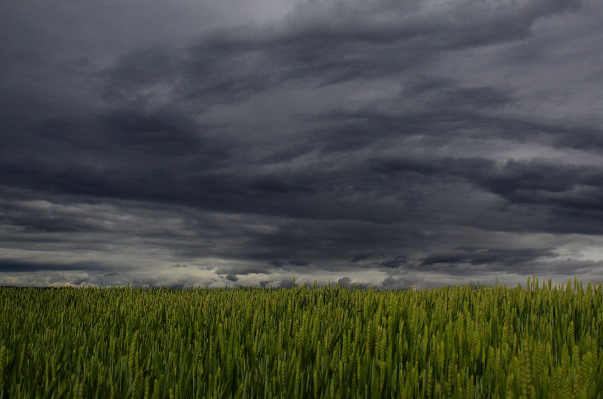 Alerta para o Sul do RS: após frio intenso, a previsão é de chuva volumosa