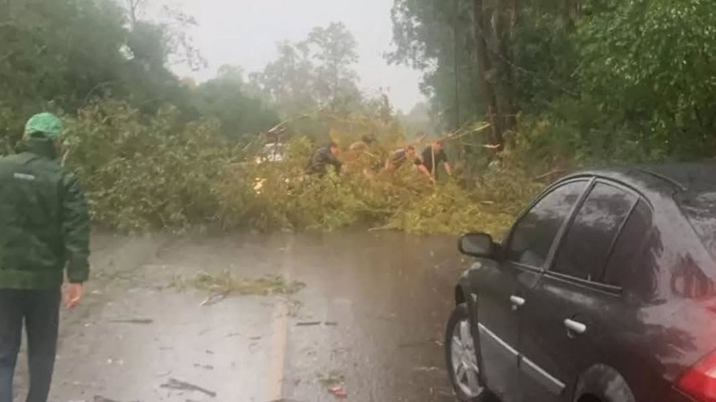 Vendaval com rajadas de até 93 km/h causa destruição em Alegrete e bloqueia rodovia entre Manoel Viana 