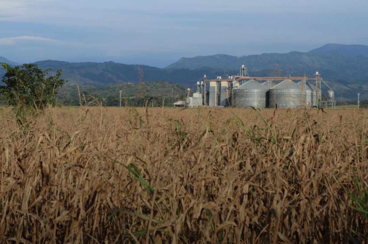 Projeto da UFPel visa fortalecer agroindústrias da Zona Sul com apoio financeiro e técnico