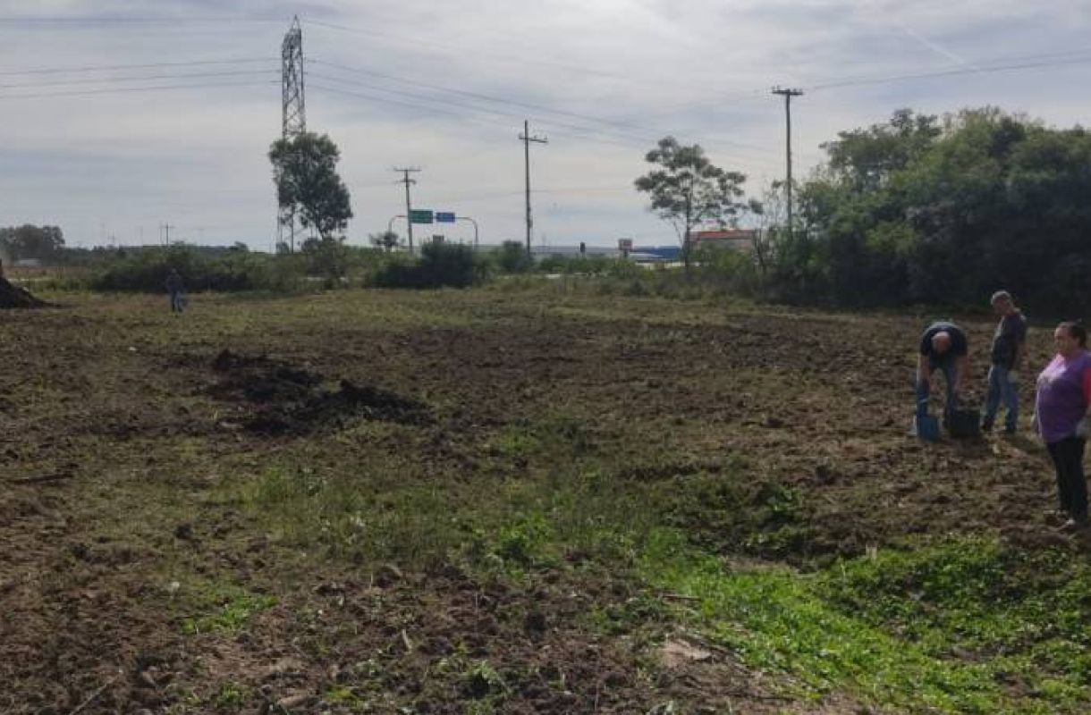 Equinos recolhidos nas ruas estão disponíveis para doação em Pelotas; uso para tração é proibido