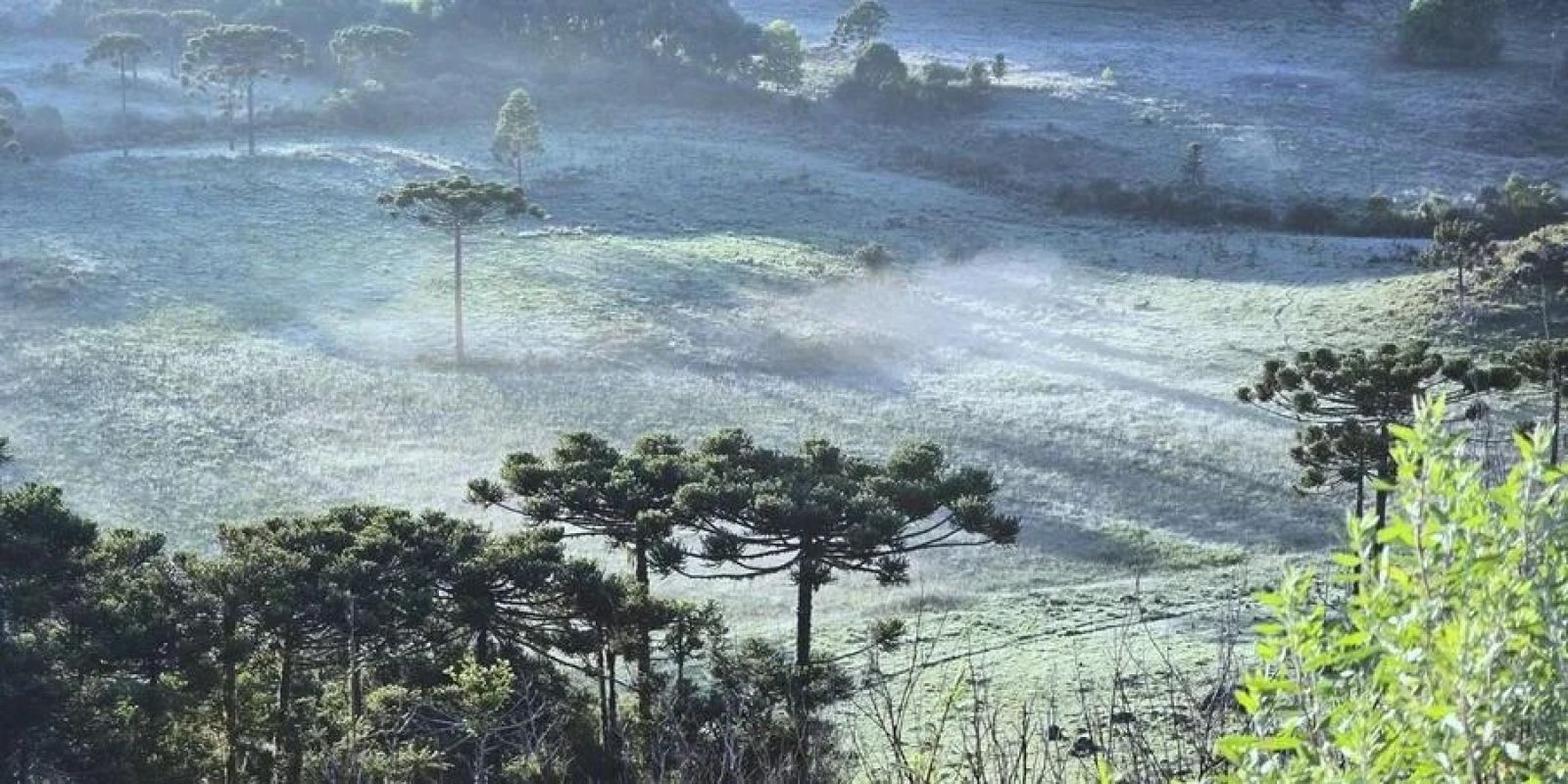 Campos amanhecem cobertos de gelo em São Joaquim, Santa Catarina, recriando cenário de inverno em pleno verão