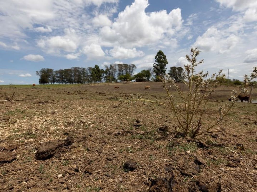 Governo do RS alerta para estiagem devido ao retorno do fenômeno La Niña