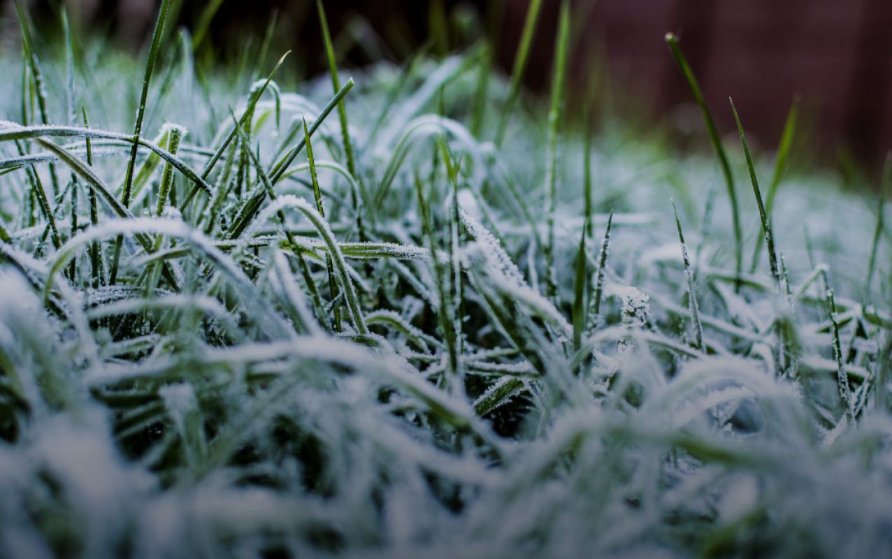 Frio intenso atinge o Sul com geada e temperaturas negativas