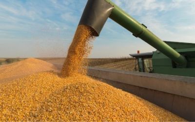 Colheita de soja no Rio Grande do Sul apresenta forte variação de produtividade, com destaque para perdas em várias regiões