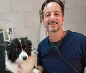 Projeto Quem Ama Castra já realizou 162 castrações gratuitas em Jaguarão e prepara nova meta para 2025