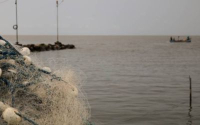 Pescadores da Colônia Z3 adiam início da temporada de camarão e marcam abertura para o dia 8 de fevereiro