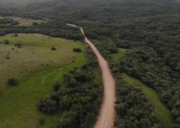 Prefeitura de Herval intensifica manutenção de estradas rurais para melhorar mobilidade e segurança