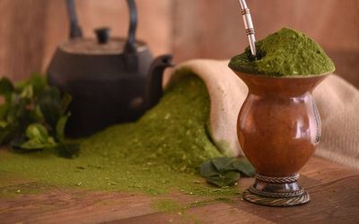 Produção de erva-mate segue estável apesar do clima