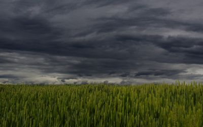 Alerta para o Sul do RS: após frio intenso, a previsão é de chuva volumosa