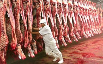 China suspende importação de carne bovina de três frigoríficos brasileiros