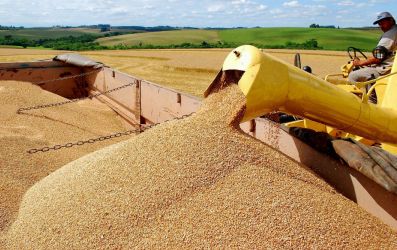 Brasil pode atingir recorde na safra de grãos 2024/25, com estimativa de 322,4 milhões de toneladas