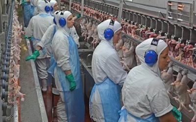 Exportações de carne de frango crescem 19,5% no RS e superam média nacional