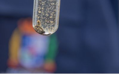 Pelotas mantém um caso de dengue em 2025 e intensifica ações de combate ao mosquito