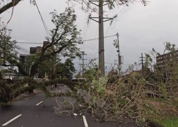 Fortes chuvas e ventos causam danos em cidades do RS; Defesa Civil emite alerta para risco de alagamentos e cheias