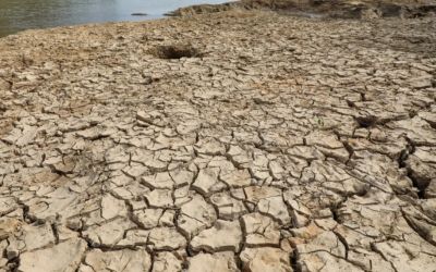 48 municípios do RS em emergência devido à estiagem: crise hídrica afeta agricultura e pecuária