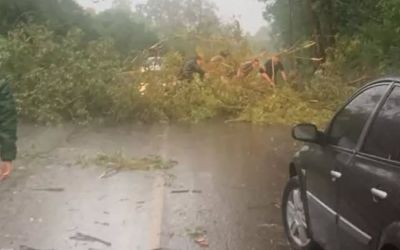 Vendaval com rajadas de até 93 km/h causa destruição em Alegrete e bloqueia rodovia entre Manoel Viana 