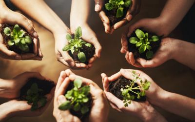 UFPEL ABRE 150 VAGAS PARA ESPECIALIZAÇÃO EAD EM GESTÃO PARA A SUSTENTABILIDADE