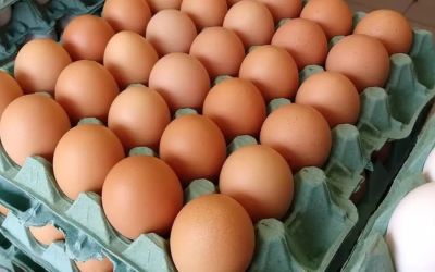 Crise dos ovos nos EUA vai aumentar preço do produto no Rio Grande do Sul