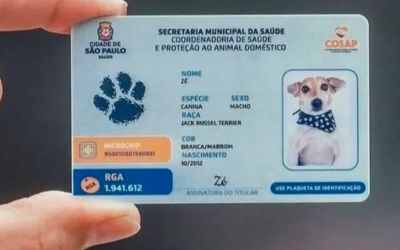 Cadastro Nacional de Animais Domésticos entra em fase final de testes e deve ser lançado em breve