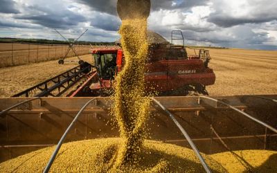 Colheita da soja atinge 95% no RS, mas seca prolongada causa perdas e desafia planejamento das próximas safras