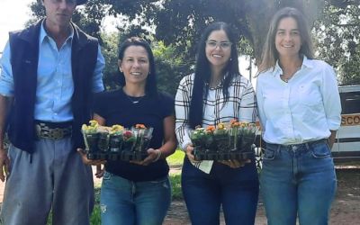 Escolas Rurais de Pedras Altas Recebem Doação de Flores para Embelezamento dos Canteiros