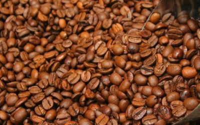 Preço do café atinge recordes históricos: especialista explica os fatores por trás da alta