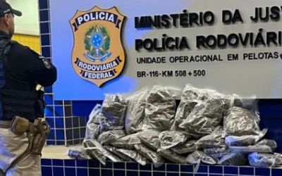 PRF apreende mais de 8 kg de skunk em Pelotas e localiza droga em encomenda nos Correios com ajuda de cão farejador