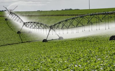 Programa de Irrigação do RS recebe mais de 670 projetos e amplia área irrigada em 9 mil hectares