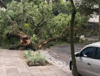 Defesa Civil do RS registra danos em 19 municípios após fortes chuvas e vendavais