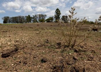 Governo do RS alerta para estiagem devido ao retorno do fenômeno La Niña
