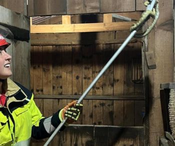 Morador de Canela encontra jararaca venenosa em galpão e aciona Corpo de Bombeiros