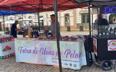 15ª Feira Municipal de Uvas de Pelotas começa nesta sexta-feira (7) no Largo do Mercado Central