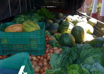 Prefeitura de Cerrito entrega cestas de hortifrúti para 100 famílias em ação social