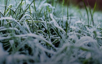 Frio intenso atinge o Sul com geada e temperaturas negativas