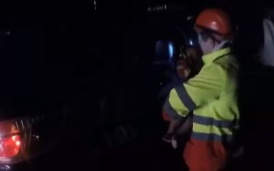 Mulher é presa suspeita de sequestrar bebê de 8 meses em Pelotas